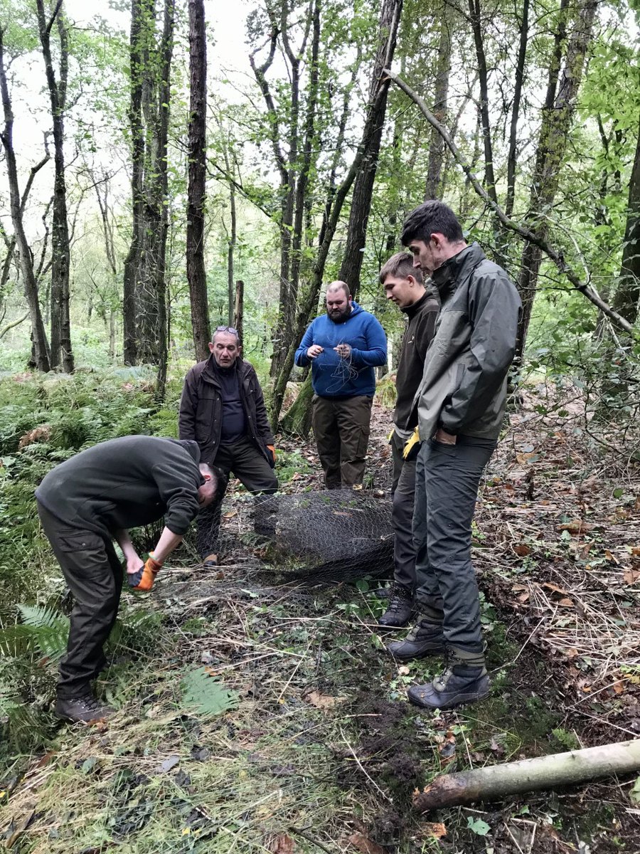 Reaseheath Game & Wildlife Management tweet media