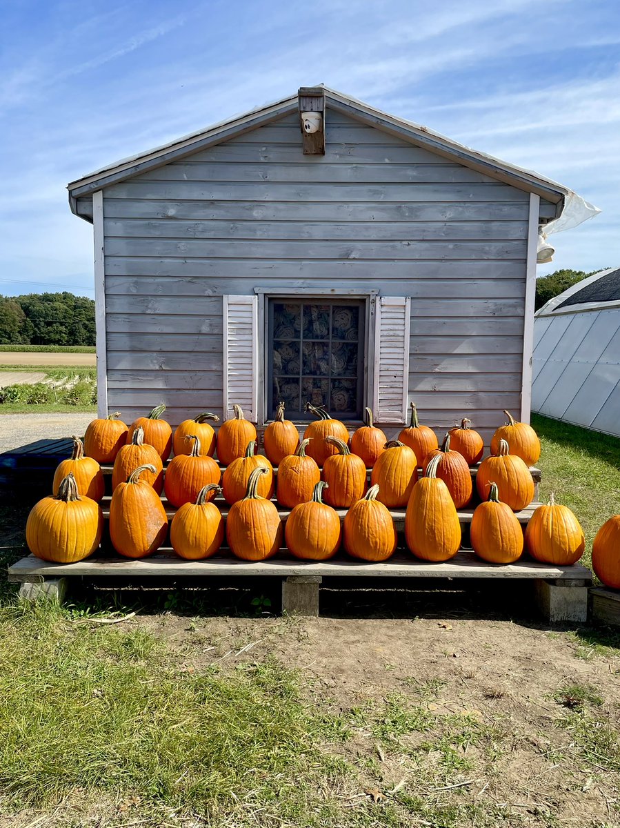 ItMeJaren's tweet photo. Quality #FallContent https://t.co/yhlIVPvU7K