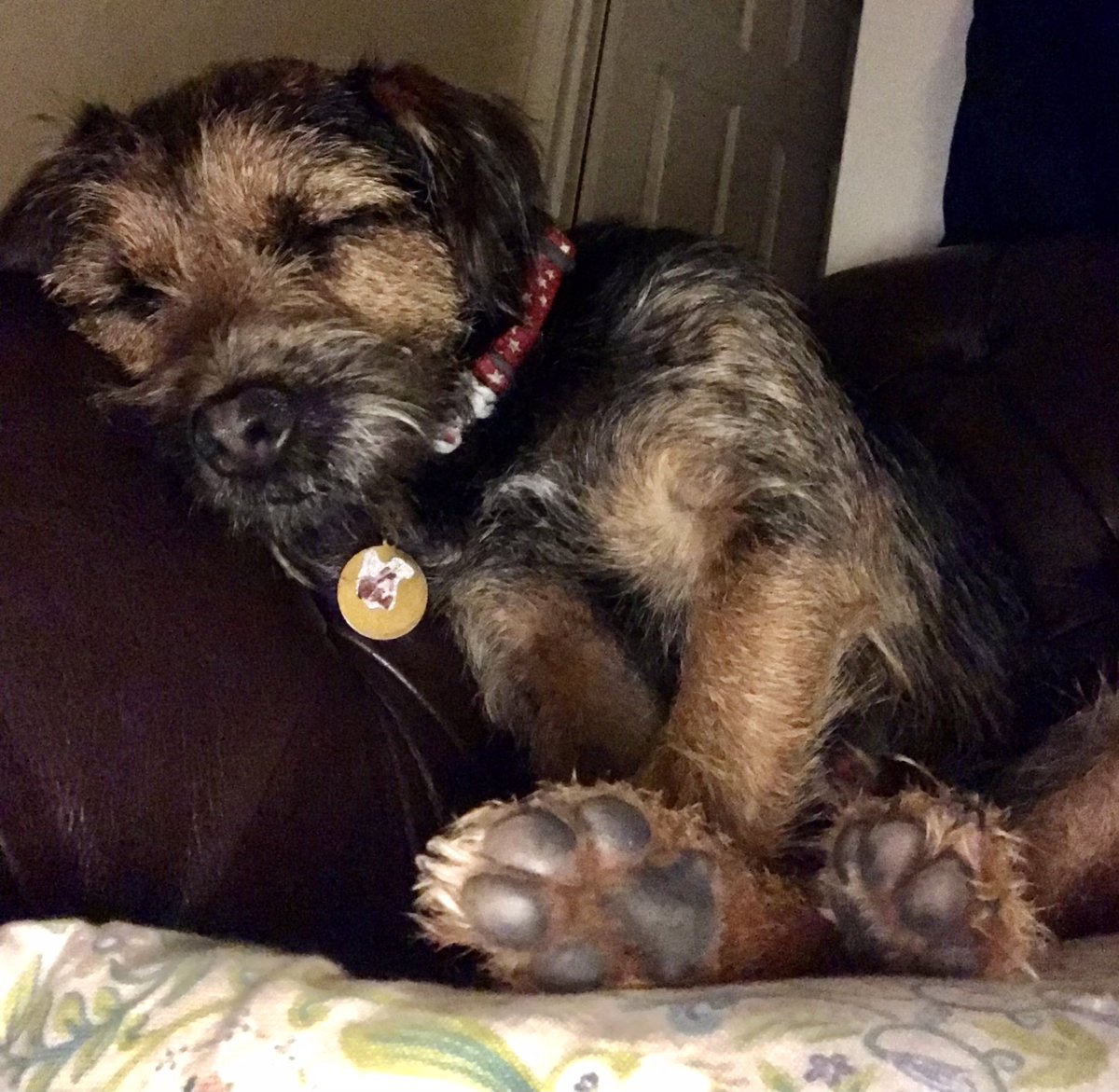 BtBoru's tweet photo. Yes,thanks I’m comfy😳 https://t.co/el5Fb99KOP