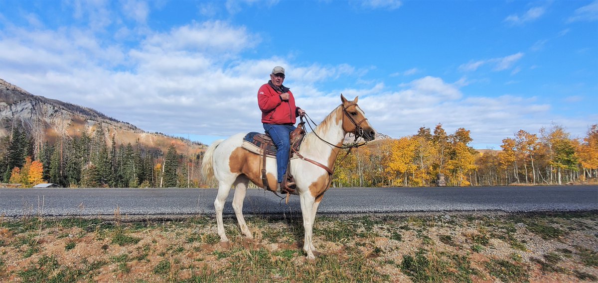 workingitoutnow's tweet photo. HOW and WHERE did I meet this guy?
He is a real live cattle wrangler in #Utah. I met him on the #NeboLoop.
Read, see and learn more: https://t.co/jjqK8qLIfu
#cattlewrangling #quarterhorse #horses #fall #weather #keepemseparated #foliage #leaves #elk #cowboy #wildlife #cows https://t.co/hyxkNryrH8