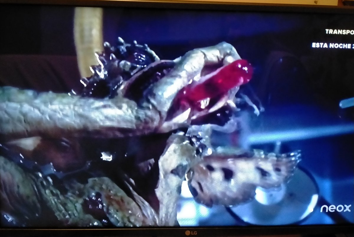 LeaderStripe's tweet photo. ❱  Viendo los Gremlins 2 por vez número ni me acuerdo. Hahahaha #Gremlins https://t.co/tQv2Myy8Bu