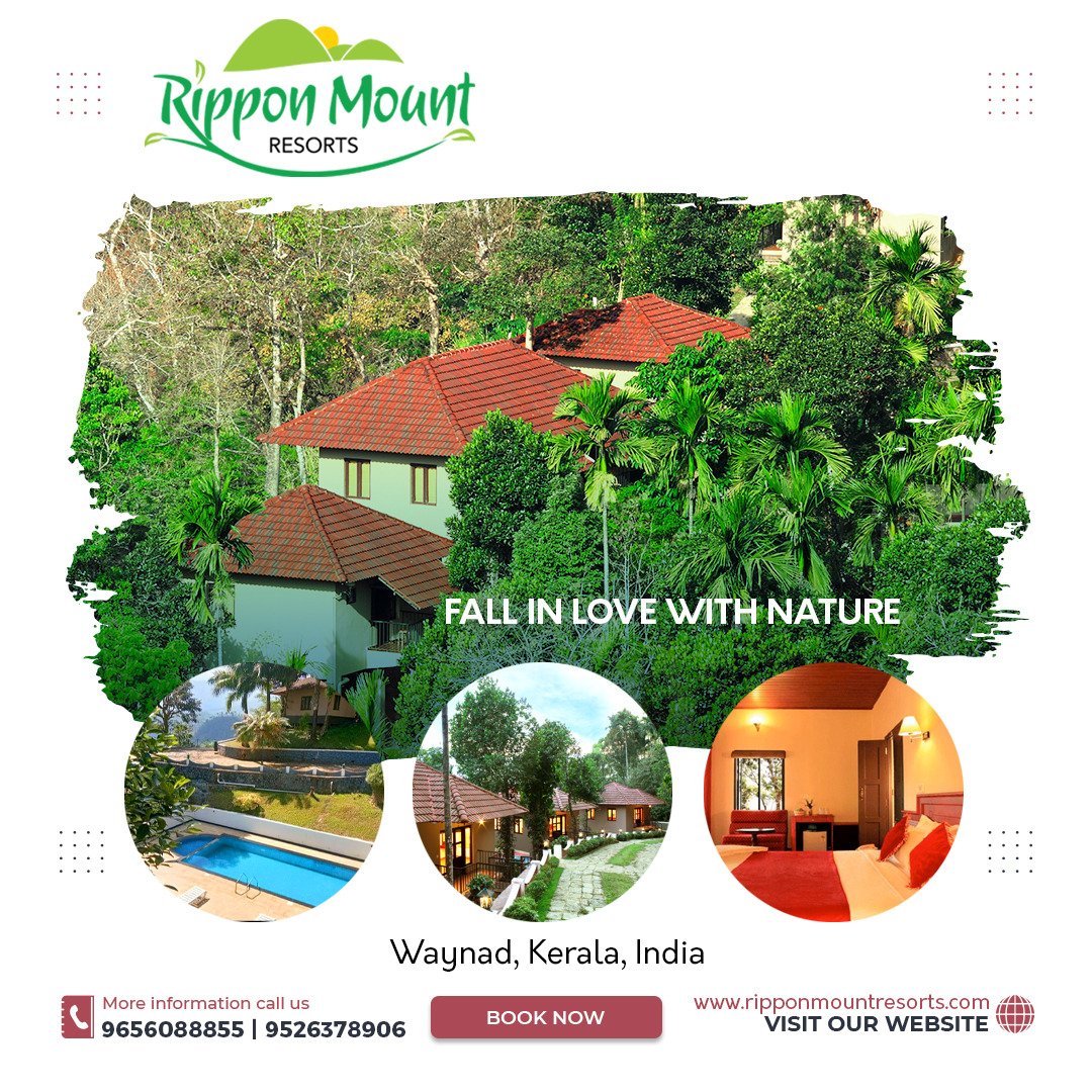 mount_rippon's tweet photo. https://t.co/bdJ2DFpCOI