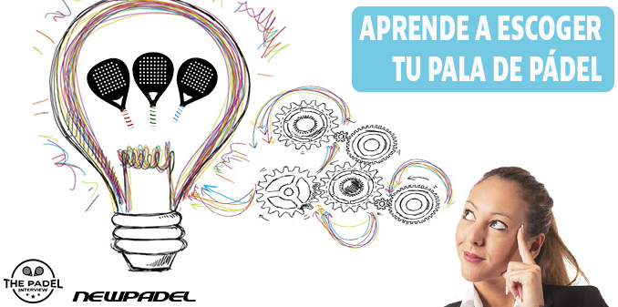 newpadel tweet media