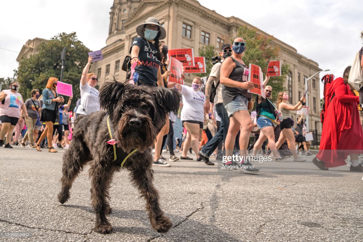 Women's rights activists rally across the country to protest a new restrictive law in Texas that prohibits abortion after about six weeks of pregnancy 📷: Joshua Roberts, @iAmMontinique, @maybud12 #WomensMarch #AbortionRights #TexasAbortionLaw