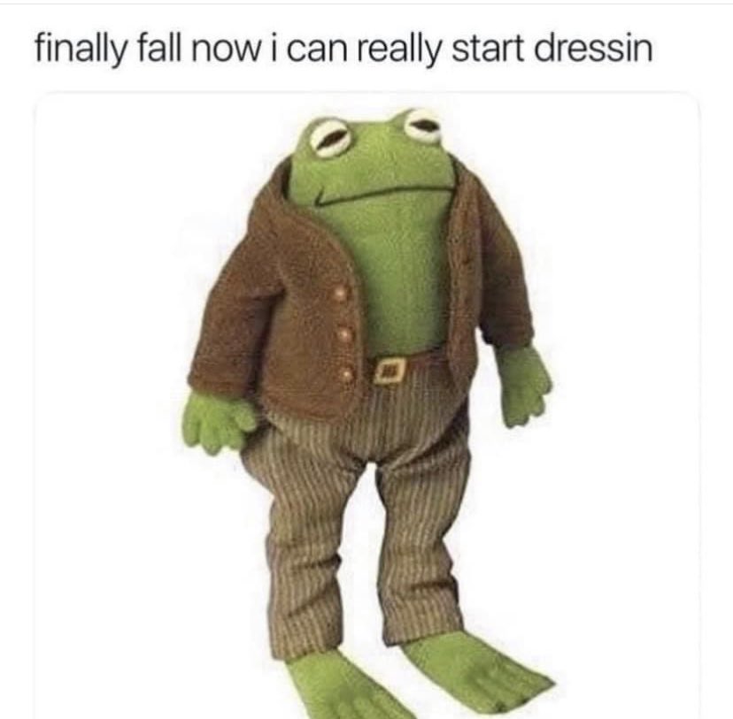 WholesomeMeme's tweet image. 