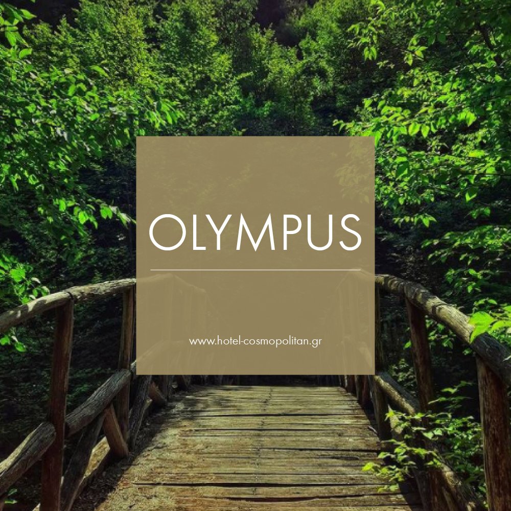 Paths to #nature! 🌲🍃 A spectacular mountain waits to be explored! 

Visit #MountOlympus just minutes away from Cosmopolitan Hotel. 
Book now your winter escape.
hotel-cosmopolitan.gr 

#cosmopolitanhotel #pieria #greece #πιερια #olympusmountain