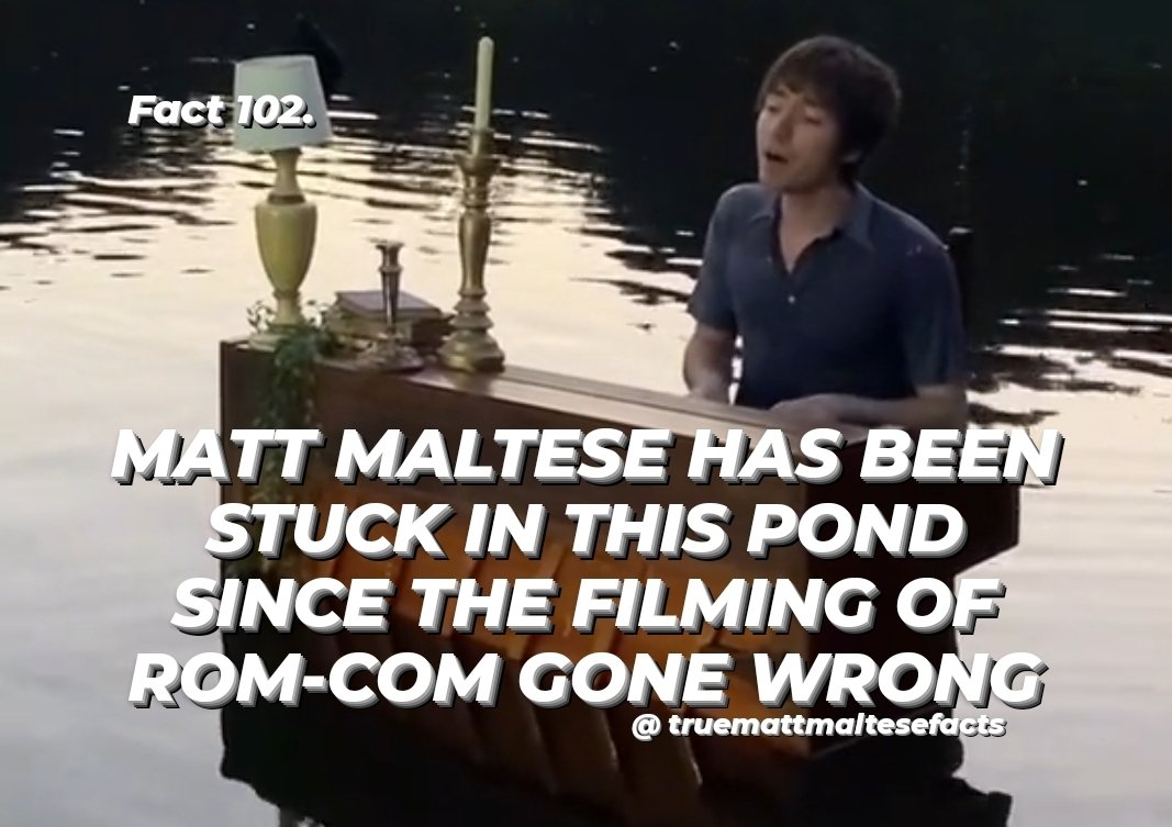 TrueMattMalteseFacts tweet media