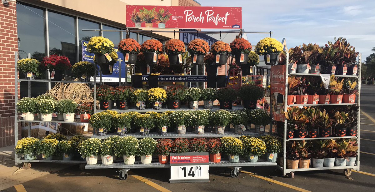 JeradClayton's tweet photo. Good morning #columbusohio, @Lowes #265 Easton has plenty of Fall is for Planting color to show off while watching the Buckeyes take on Rutgers today!! @RlanePlants @MetrolinaGHS @LBishPlants @Jrmill840 @Scott_Irby_  @kplowery6b https://t.co/cpqVbg3H0k