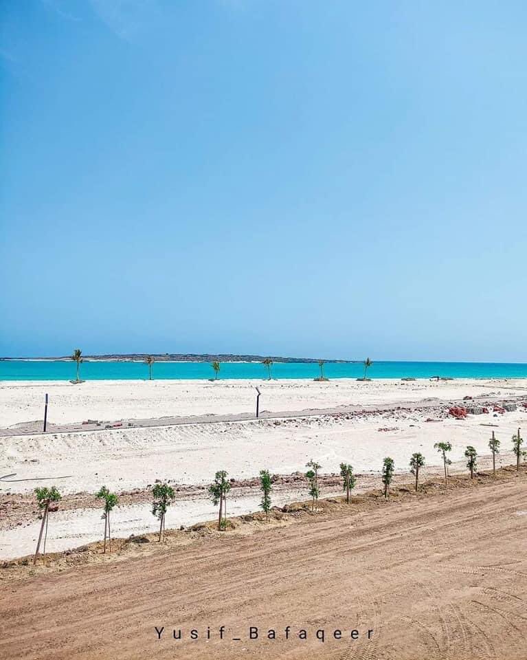 أشجار النارجيل تزّين شواطي شبوة 🏝

#منتجع_قناء_السياحي