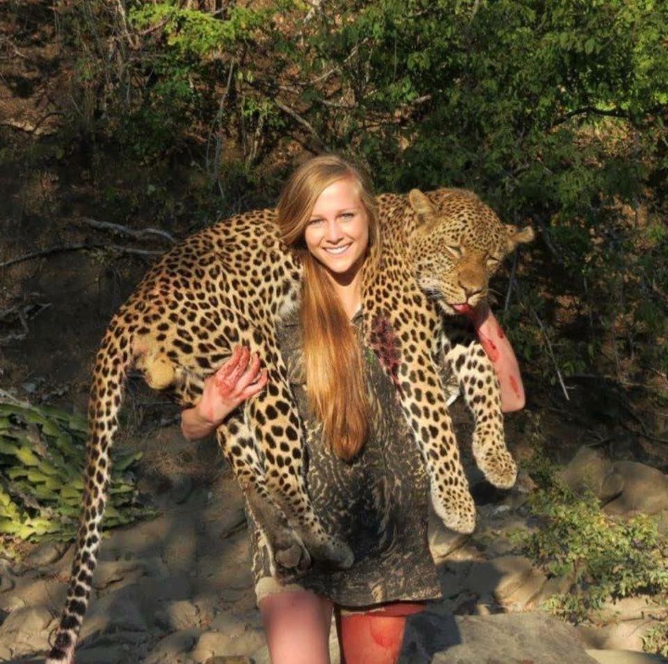 XposeTrophyHunt's tweet photo. Smiling &amp; covered in blood &amp; that’s a very small leopard!

“There's a big difference between the natural need for a species to kill and eat prey &amp; just shooting an animal simply as a ghastly trophy.” @rickygervais 

🙏🏼 RETWEET IF YOU WANT TROPHY HUNTING BANNED!

#BanTrophyHunting https://t.co/8x3A03jpIP