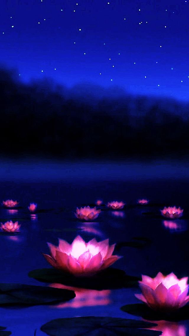 YumiFujii4's tweet photo. ✨💫おやすみなさ💫✨🌸
          ✨💫Good night💫✨🌸 https://t.co/1xlJxWxB45