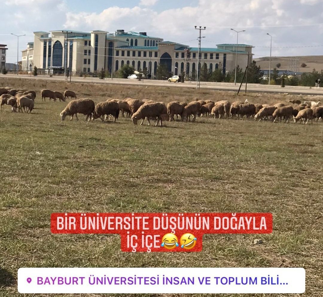 bayburt_unii's tweet photo. Doğal Ortamda Üniversite Eğitimi :) #bayburtuni https://t.co/gvsLDrBgOw