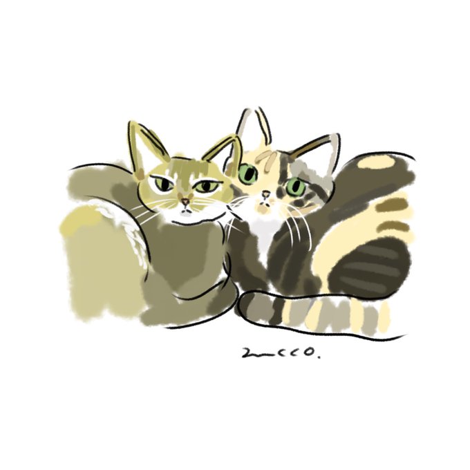 猫ちゃんのtwitterイラスト検索結果