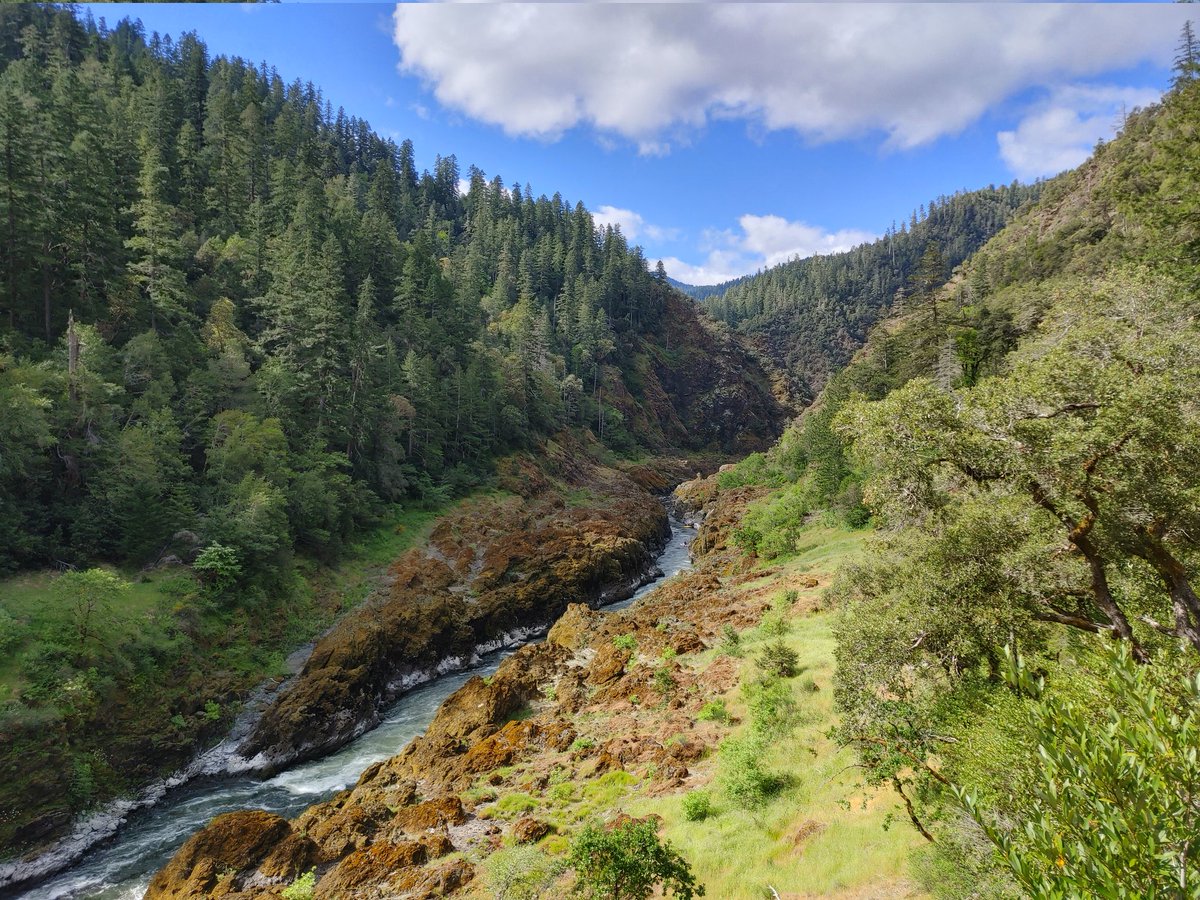 I 💚 the Wild and Scenic Rogue River. 

Today is the anniversary of the #WildandScenic Rivers Act, and I am grateful to <a href="/RonWyden/">Ron Wyden</a> and <a href="/SenJeffMerkley/">Senator Jeff Merkley</a> for their efforts to pass the #RiverDemocracyAct. Take action on behalf of a #WildandScenicOregon!

ouroregonrivers.org/take-action/