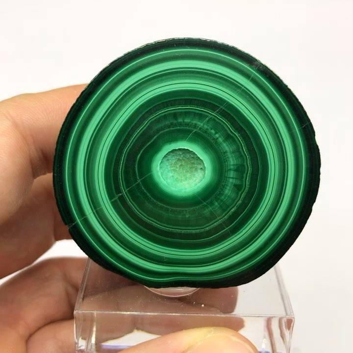 GeologyTime's tweet photo. Malachite stalactite slice from Katanga, Congo

Photo: Spirifer Minerals

#minerals #crystals https://t.co/cjXNEss7Gk
