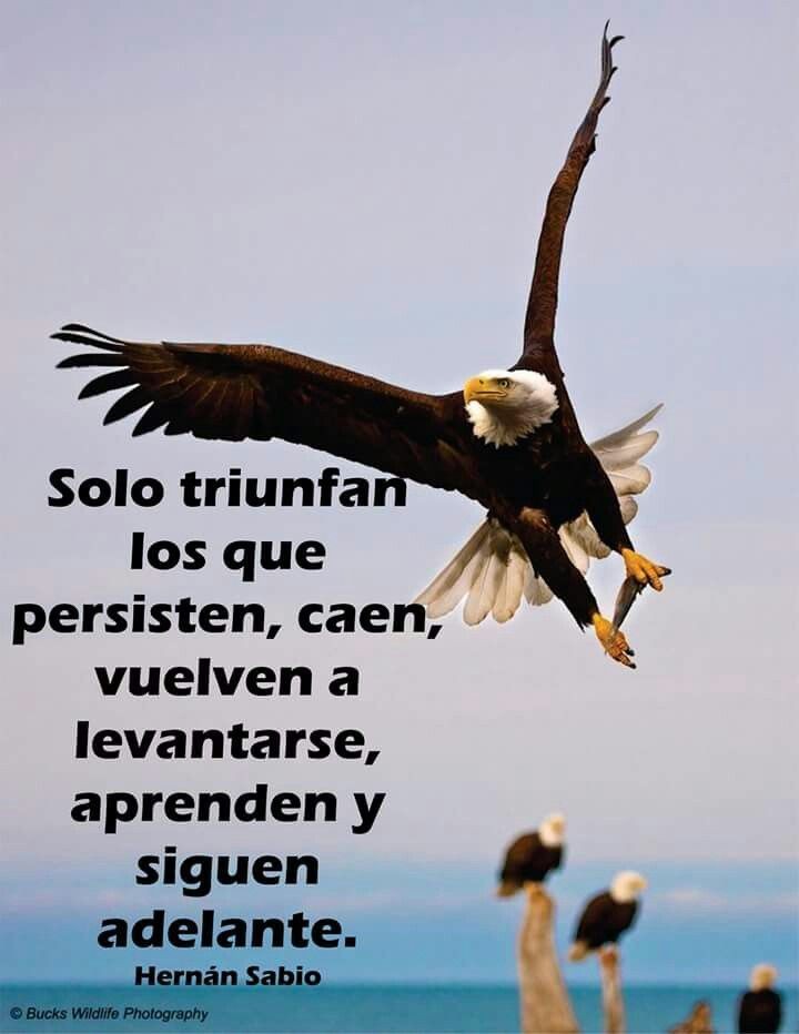 IvonneMacielF's tweet photo. Excelente día https://t.co/sZ4LPHYxRx