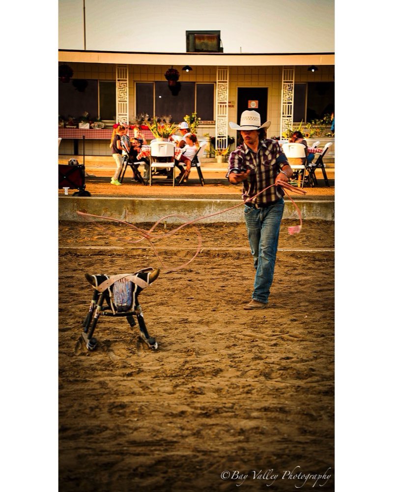 BayValleyPhoto's tweet photo. This young man was good with the rope. #PicOfTheDay #SonyAlpha #ar7iii #cowboy https://t.co/8Rb1ne2KBU