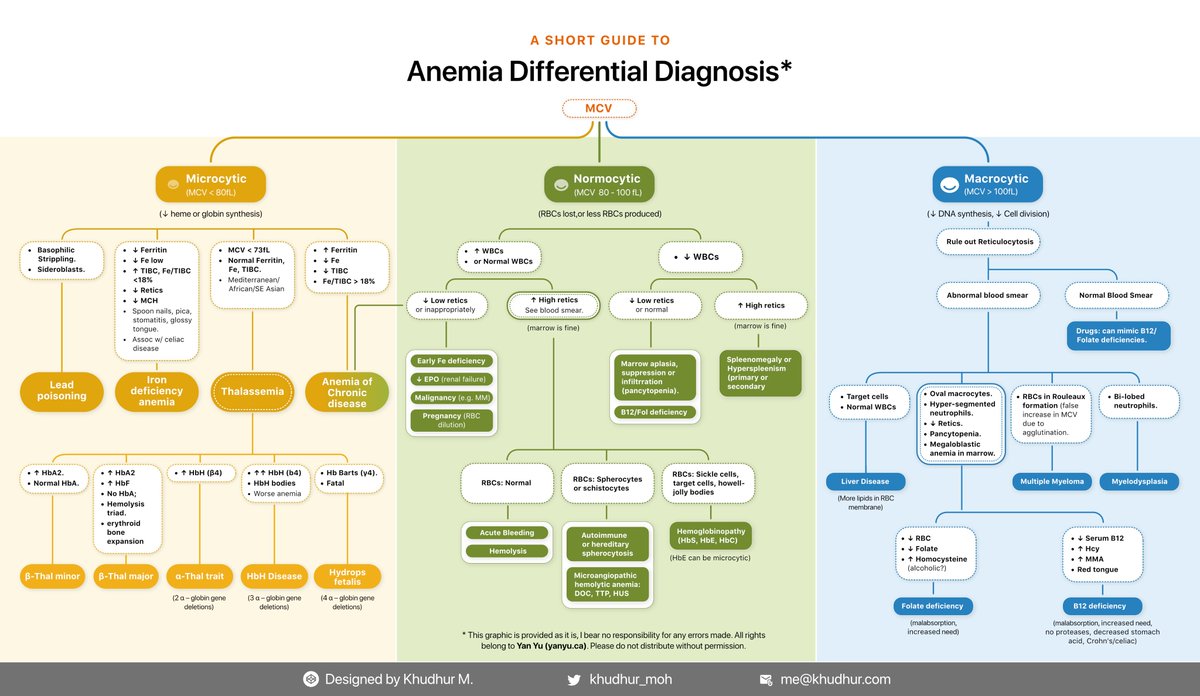khudhur_moh's tweet photo. Anemia Differential Diagnosis: A comprehensive guide.

#hematology #foamed #medtwitter #anemia #thalassemia #oncology #medicine https://t.co/pHU01cpMAb