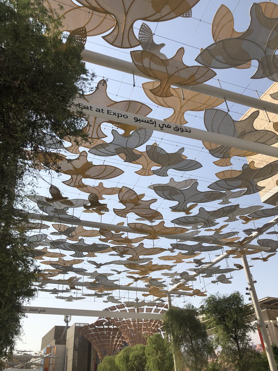 Expo2020,
Is finally here proud of such an amazing achievement for this country and city. 
I can’t wait to share more….