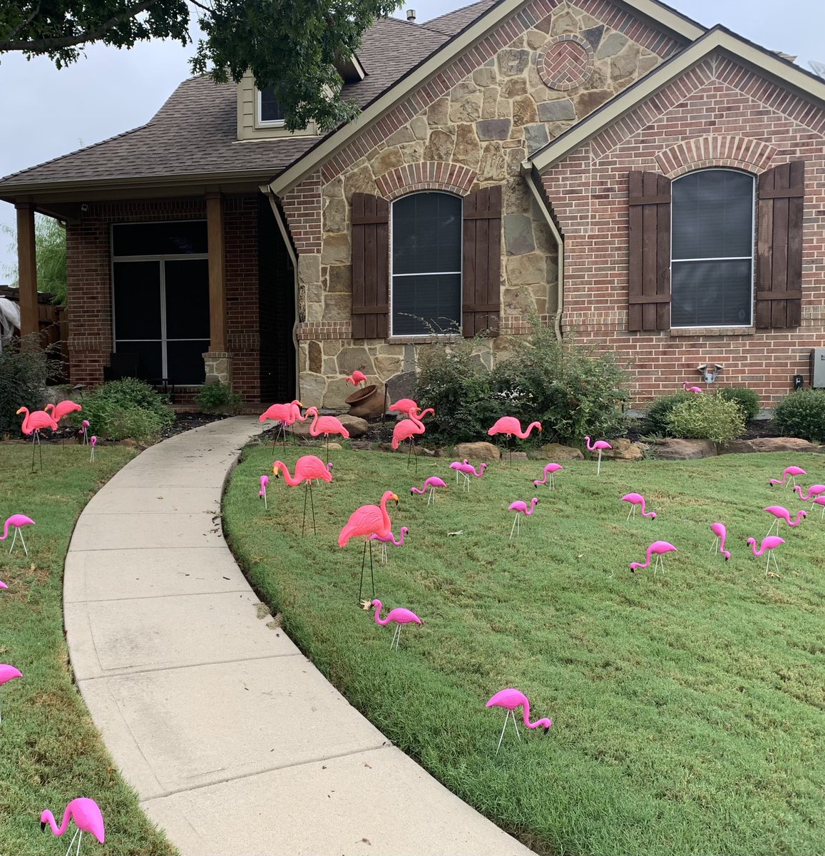 SherryBuck70's tweet photo. Last week was forks from some of my NF students, this week is flamingos 𦩠from Crosspoint Community Church students. Never a dull moment at the Buck Casa π‘ πβ€οΈ
#crosspointrockwall #crosspointstudents
#anythingforthekids https://t.co/GedzPtFmta