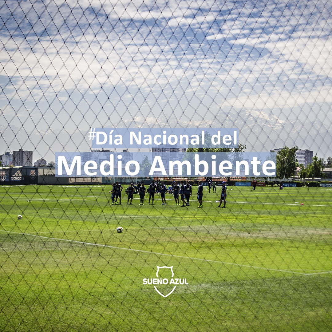 Sueño Azul tweet media