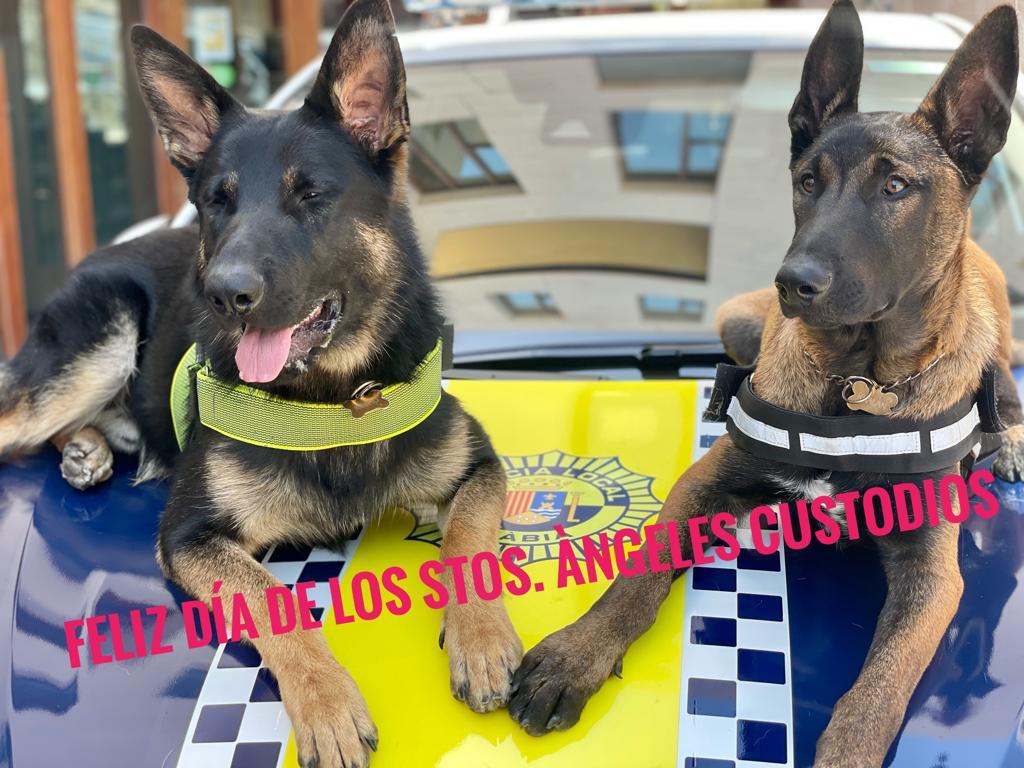 Policia Local Xàbia tweet media