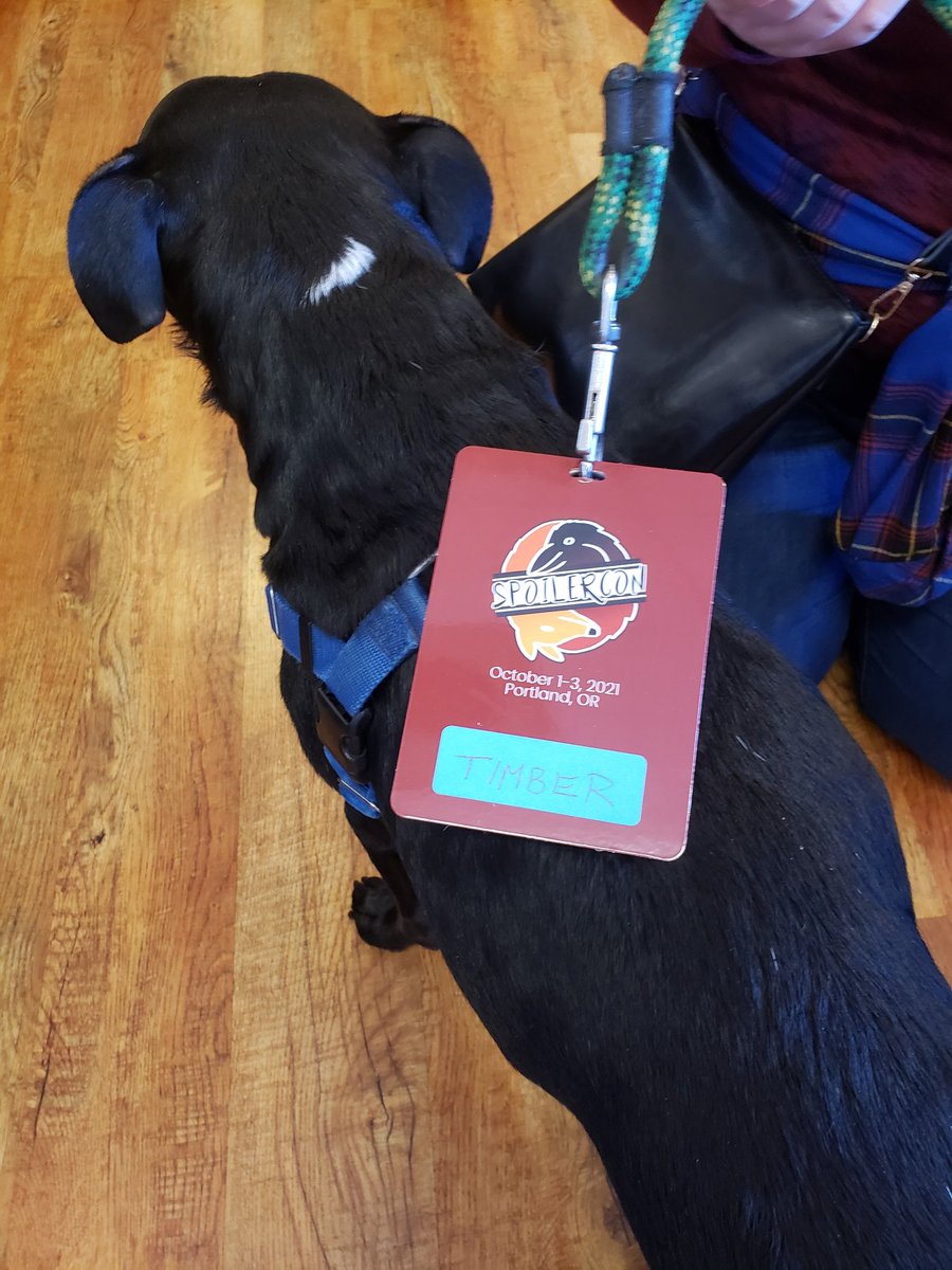 SpoilerCon's tweet photo. #Spoilercon2021 out here looking professional af https://t.co/pqYWHSGcdq