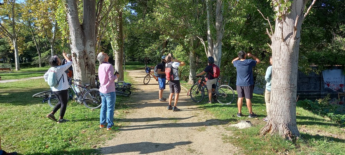 UseraMAUyM's tweet photo. En el #DiaDeLasAves hemos realizado un recorrido por diferentes hábitats de #Usera observándolas en los parques, plazas y río Manzanares a su paso por nuestro distrito. Con #UseraProBici 🚴🚴‍♀️
Únete al canal de Telegram.
                👇
https://t.co/Z7WMhsygz1 https://t.co/XS0wgFZ74B