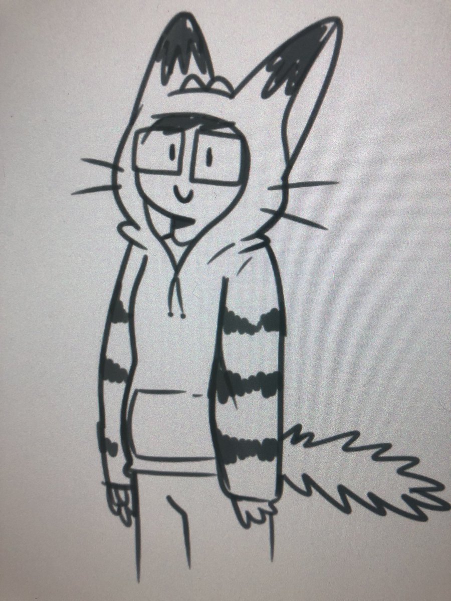 Thinking how I would like a hoodie designed after my mascot avatar. 