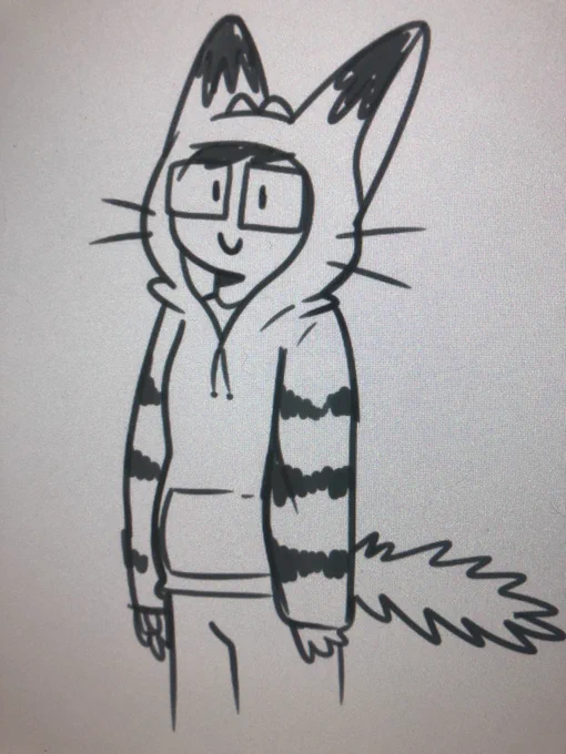 Thinking how I would like a hoodie designed after my mascot avatar. 