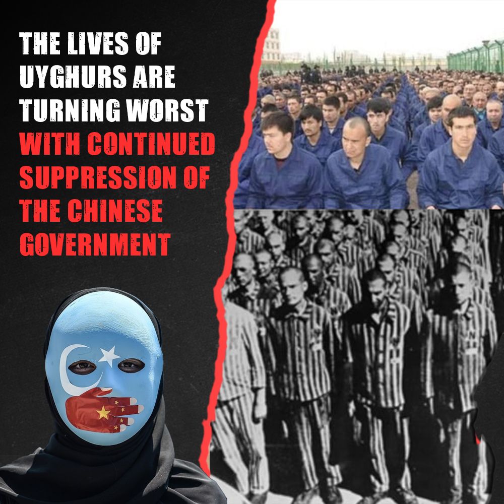 hermitofherit's tweet photo. #Uyghurs suspect a threat to their lives as many believe they are always under the radar of the Chinese government. #UyghurGenocide #CCPRiseHumanRightsDies
#Assange https://t.co/c5SUmTyku8