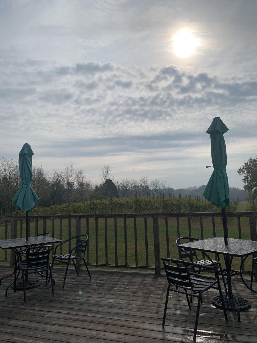 simoncreekwine's tweet photo. It’s a beautiful day at Simon Creek! Come enjoy your favorite wines 🍷☀️ https://t.co/k0jrDMmLjx