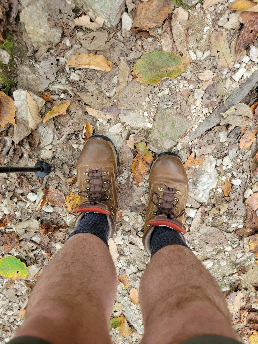 michaeltullier's tweet photo. Putting the "these-boots-are-made-for-walking" mantra to the test on the #PinhotiTrail the next two days of #backpacking with @BoyScoutT50 in these @eddiebauer boots. Expecting to cover eight miles! #boyscoutlife #troop50 #scoutlife https://t.co/RLYo4XQDB3