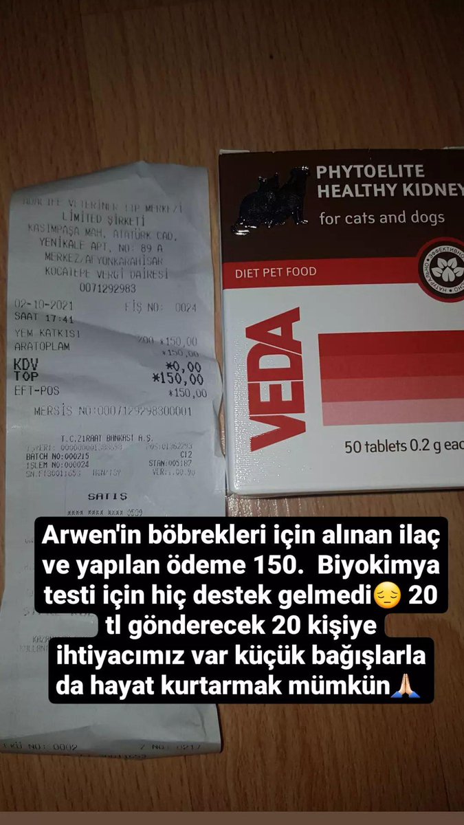 Arwenfip's tweet photo. Rt lütfen🙏🏻😔 #fipwarrior #animallovers #StrayKids #SoezSenettir3AyBittiSnKoca https://t.co/2VreHLxKQB