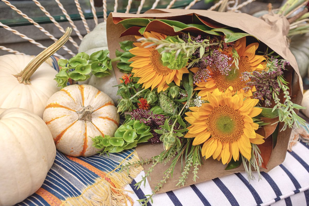 FlowerfulHeart's tweet photo. #Sunflowers &amp; #Pumpkins... it must be October!! 

Happy fall, from my Flowerful Heart to you! 🌻🧡🍃

@TheFlowerWorld https://t.co/EPq3xdaaE7