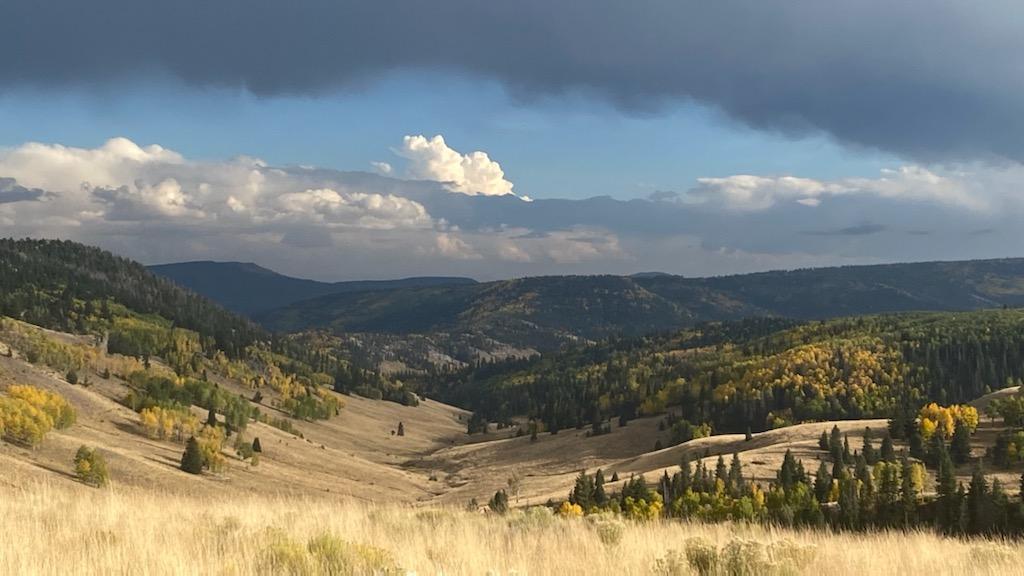 CarsonNF's tweet photo. Your Forest is waiting on you to explore it! #CarsonNF #ItsAllYours #fallcolors

Forest Service photo by Adam LaDell https://t.co/dq7YeXfYwL