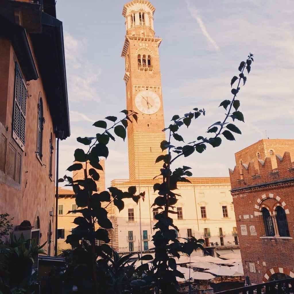 HotelAuroraVr's tweet photo. Simply paradise 🥰
.
.
.
#hotel #aurora #hotelaurora #piazzaerbe #verona #veneto #italy #sunset #autumn #warm #paradise https://t.co/mR5z5awHp6 https://t.co/WvOGJQyT5M