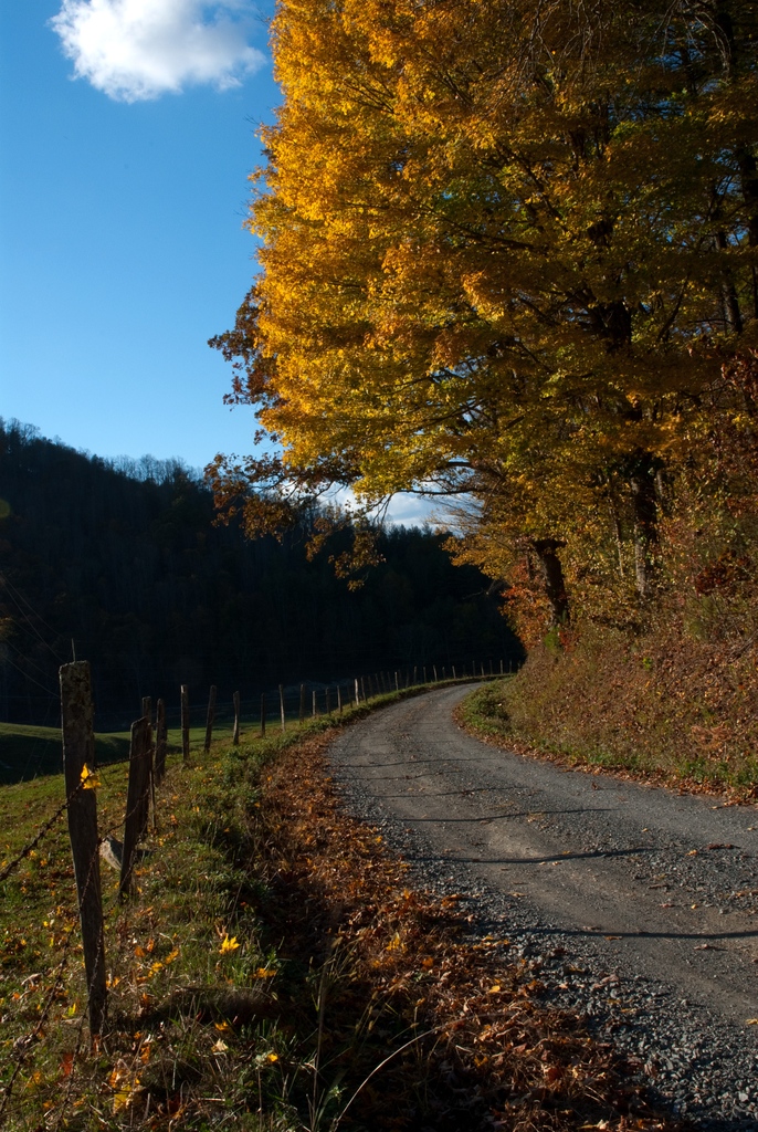 MastStore's tweet photo. It's hard to believe that it's October already! But scenes like this make us celebrate the quick passing of time.
Look to the Mast Store #FallFoliagePrimer to find ideas for fall activities in our communities. 🍂
https://t.co/gFSxwkhTkV https://t.co/ujALlzT6aR