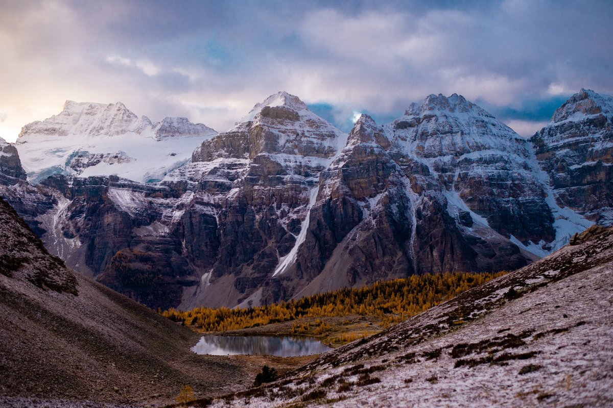 Landon Hall tweet media