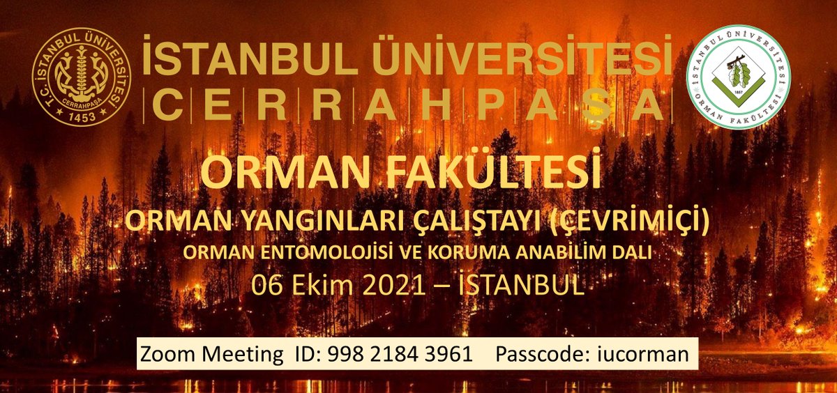 #iuc
#iucerrahpasa
#iucrektor
#iucomyo
#eniyiolmakicin