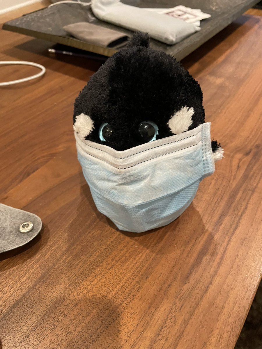 Mrs. Murshed tweet media