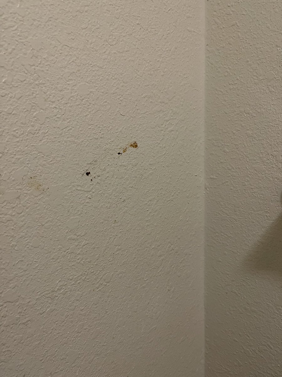 aburthay's tweet photo. @motel6 Most disgusting room ever!! https://t.co/iYLbFoUk3W