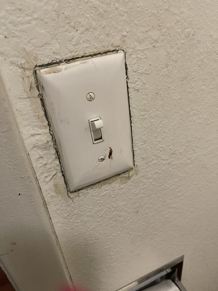 aburthay's tweet photo. @motel6 Most disgusting room ever!! https://t.co/iYLbFoUk3W