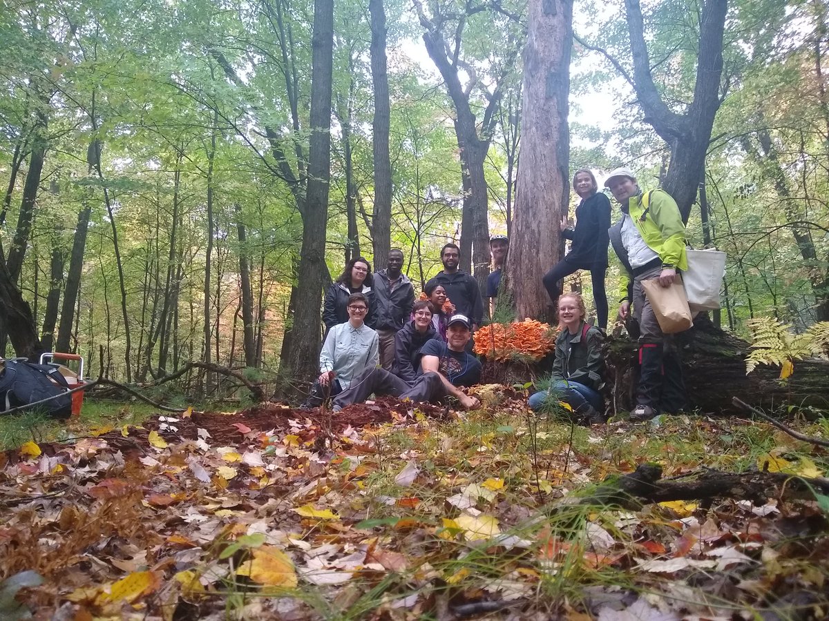 #SmithForay2021 - Minnesota mycohunters <a href="/CedarCreekESR/">Cedar Creek ESR</a>