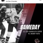 Photo by Desert Mountain Wolves Hockey (@DMWolvesHockey)