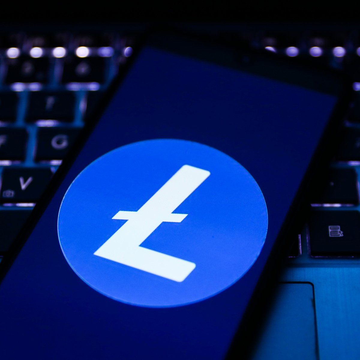 nanogamesio's tweet photo. Our Cryptocurrency Casino is giving away $100 in #Litecoin to one random winner! 

Drawing 10/3 @ 9pm EST!

-RT
-Follow
-Tag 3 friends
-Comment your #LTC wallet address

Giveaway by https://t.co/BFlBOcNqjw

#Bitcoin #Ethereum #Dogecoin #Nano #Banano https://t.co/dULjqYxKLU