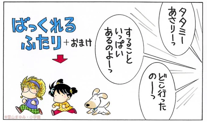 ママが本格的に衣替えするって頑張ってる。

ついでに大そうじもするんだって。 