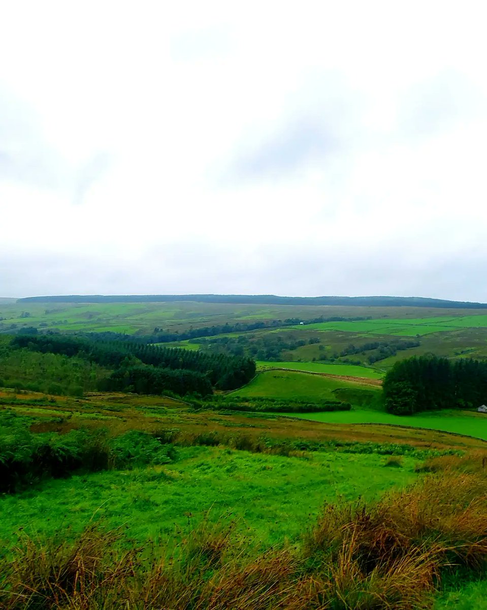 blonde_on_bikes's tweet photo. Absolutely soaked through todayπ§π§ on the #DevilsBeeftub walk with the #moffatwalkingfestival.
Tough conditions in the wind and continuous heavy rain and totally water logged underfoot. That was definitely a type 2 fun dayππ₯Ί#dumfriesandgalloway #annandaleway #annanwater https://t.co/qHA3ljb7Gf