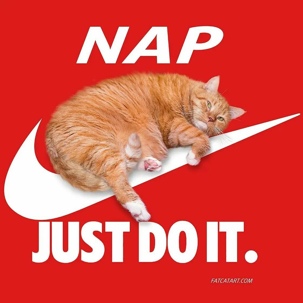 Nap. Just Do It.⚡️⁠
This is the motivation for today 😻⁠
⁠
#FatCatArt ⁠
#zarathustralive⁠ #justdoit
⁠
#artoftheday #catart #fatcat #bigcat #orangecat #artlover #gingercat #catlover #contemporaryartwork⁠ instagr.am/p/CUiHTPzoXj4/