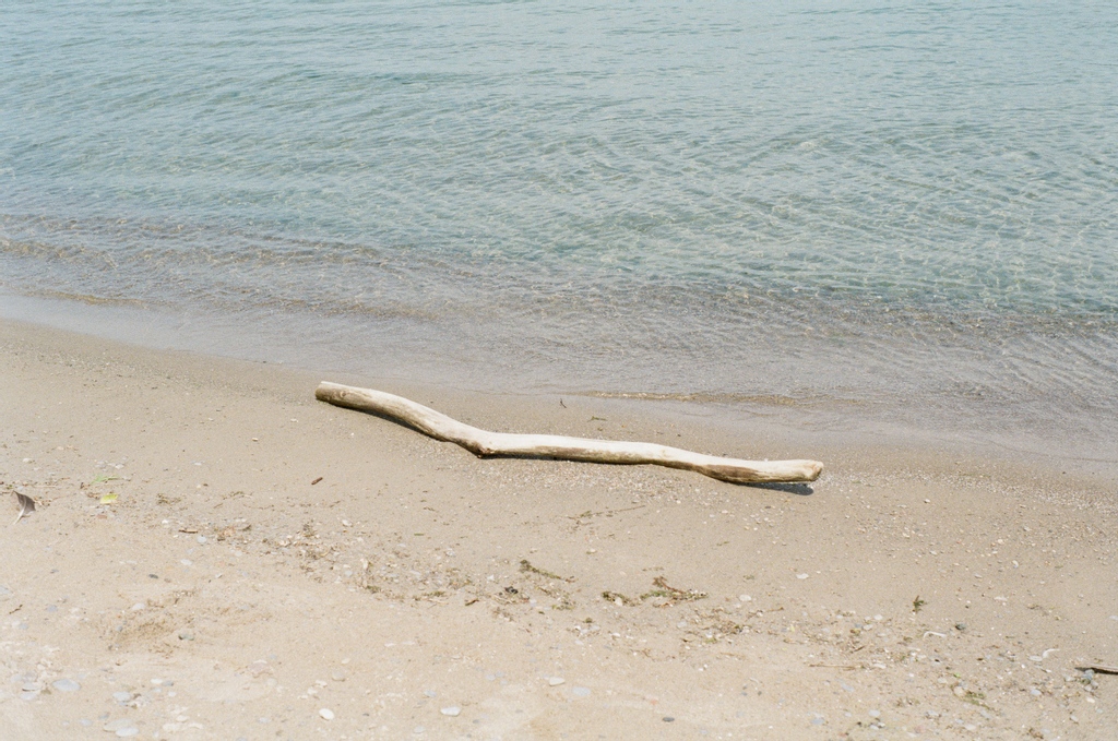 PhotoEdCANADA's tweet photo. Our #PhotoEdECO FALL 2021 - DIGITAL EXTRA EDITION is NOW LIVE! + it's FREE!
Check out more work by Canadian photographers like Farida Rady, exploring eco issues through photography!
https://t.co/2USx4xJQw2 https://t.co/NKVDSoO3GJ